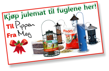 Kampanje-julefuglemat.png