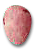 Egg 6