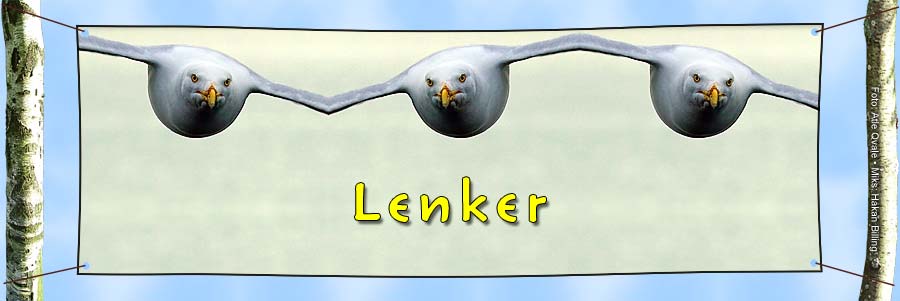 Lenker