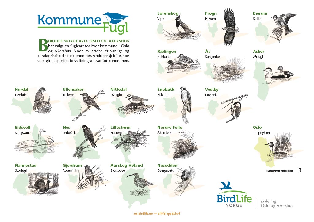 Kommunefugler i Oslo og Akershus